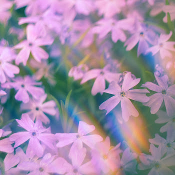 Ak Peace Of Mind Ft Liam Thomas Скачать mp3