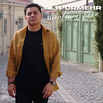 Ali Pormehr Vuruldum Sene Скачать mp3