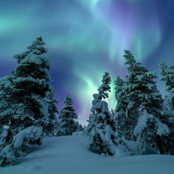 Ashreveal & Ashish Swargiary Manasha (Over Slowed) Скачать mp3