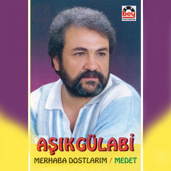 Aşık Gülabi Virane Yerlerde Ağlar Dururum Скачать mp3