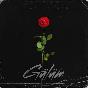 Ayaz Erdoğan Gülüm Скачать mp3