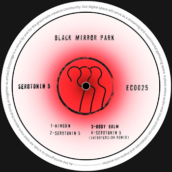 Black Mirror Park Serotonin 5 (Introversion Remix) Скачать mp3