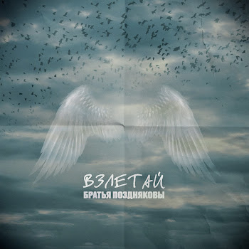 Братья Поздняковы Взлетай Скачать mp3