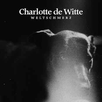 Charlotte De Witte Weltschmerz Скачать mp3