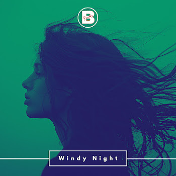 Davit Barqaia Windy Night Скачать mp3