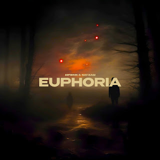 Dipiens Euphoria (Slowed) ft Say3Am Скачать mp3