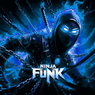 Dj Fku Ninja Funk - Slowed + Reverb ft Dj Moigus Скачать mp3
