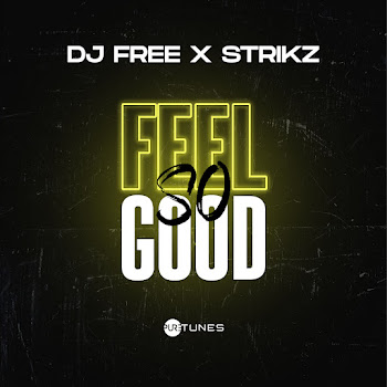 Dj Free Feel So Good Ft Strikz Скачать mp3