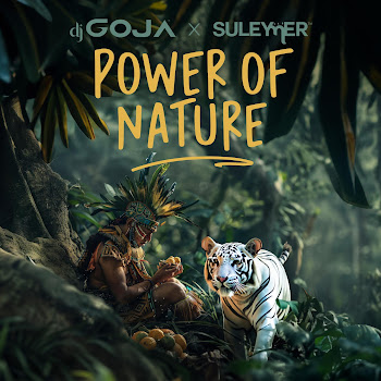 Dj Goja Power Of Nature Ft Suleymer Скачать mp3