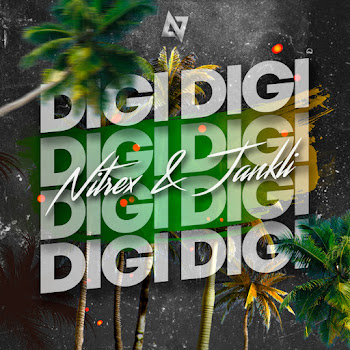 Dj Nitrex & Jankli Digi Digi Скачать mp3