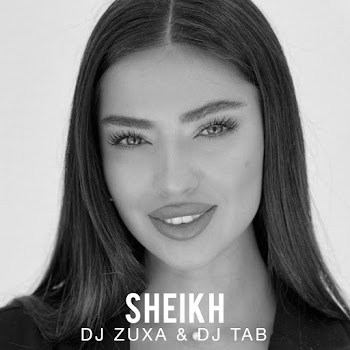 Dj Zuxa Sheikh Ft Dj Tab Скачать mp3