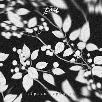 Дмц Куда Открыли Дверь Скачать mp3