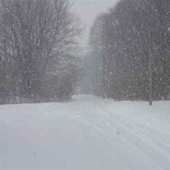 Дмитрий Гревцев Здравствуй Родная Скачать mp3