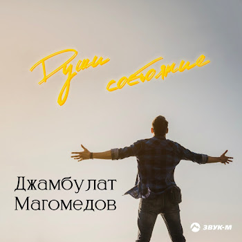 Джамбулат Магомедов Души Состояние Скачать mp3