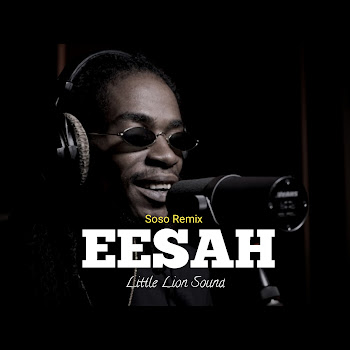 Eesah & Little Lion Sound Soso (Remix) Скачать mp3