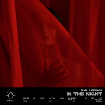 Favia In The Night Ft Banghook Скачать mp3