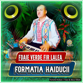 Formatia Haiducii Foaie Verde Fir Lalea Скачать mp3