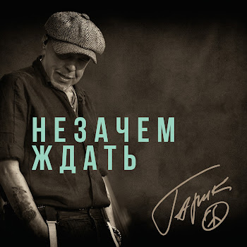 Гарик Сукачёв Незачем Ждать Скачать mp3