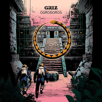 Griz Falling Flying Скачать mp3