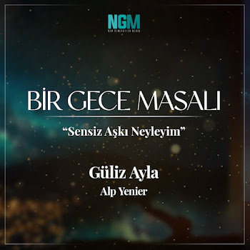 Güliz Ayla & Alp Yenier Sensiz Aşkı Neyleyim (Bir Gece Masalı) Скачать mp3