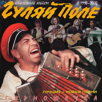 Гуляй Поле Еду С Армии Домой Скачать mp3