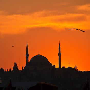 Halal Nasheed Heart Скачать mp3