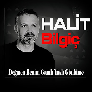 Halit Bilgiç Değmen Benim Gamlı Yaslı Gönlüme Скачать mp3