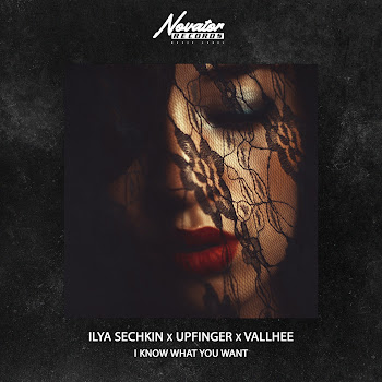 Ilya Sechkin I Know What You Want Ft Upfinger & Vallhee Скачать mp3