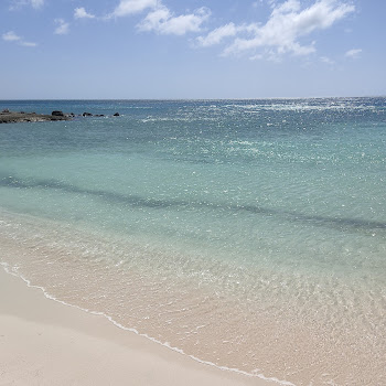 J Coronado Flowers Скачать mp3