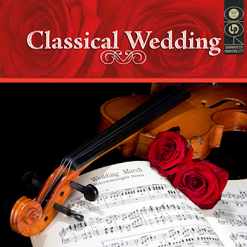 Johann Strauss The Blue Danube Ft Jr. Скачать mp3