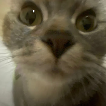 Kairas Chipi Chipi Chapa Chapa Ft Lorche & Spyzah Скачать mp3