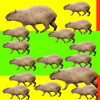 Капибара Капибара Скачать mp3