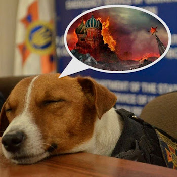 Леся Нікітюк Цей Сон (Radio Edit) Ft Степан Гіга Скачать mp3