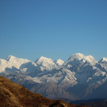 Light Codes Taurus Liberation Скачать mp3