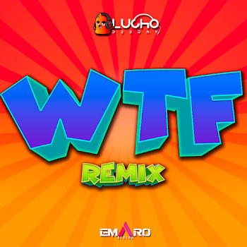 Lucho Dee Jay Wtf (Remix) Скачать mp3