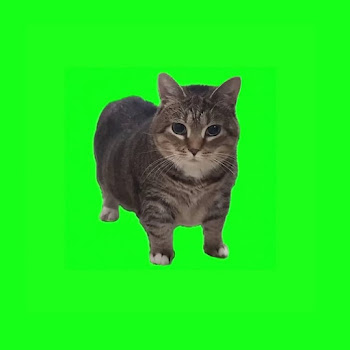 Luk Oiiia Oiia Oi Oia Uiia Cat (Spinning Cat) (Radio Edit) Скачать mp3