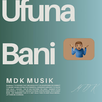 M.d.k Musik Cruise (Feat. Roya) Скачать mp3