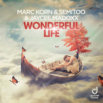 Marc Korn Wonderful Life (Steve Modana Radio Edit) Ft Semitoo & Jaycee Madoxx Скачать mp3
