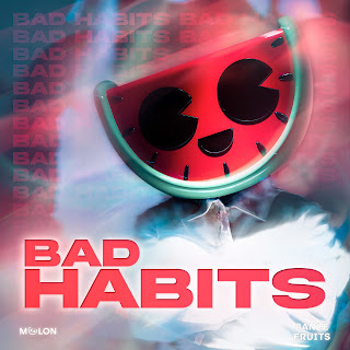 Melon Bad Habits (Extended Mix) ft Hardstyle Fruits Music Скачать mp3