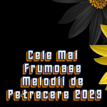 Muzica Moldoveneasca Cel Mai Bun Si Frumos Colaj 2023 Muzica De Petrecere 2023 Скачать mp3