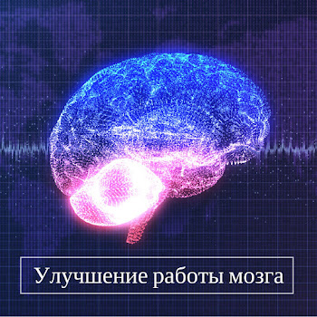 Музыка Релакс Коллекция Улучшение Работы Мозга Скачать mp3