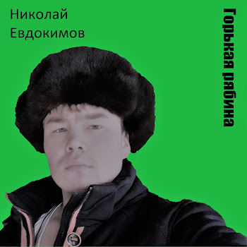 Николай Евдокимов Был Ясный День Скачать mp3