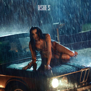 Noapology Ashes Скачать mp3