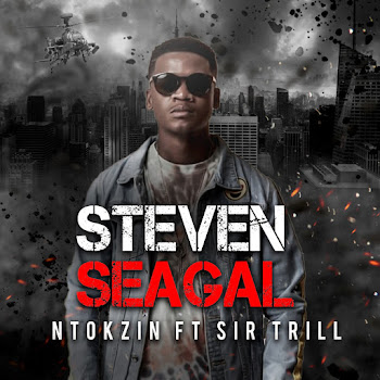 Ntokzin Steven Seagal Скачать mp3