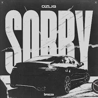 Ozlig Sorry Скачать mp3
