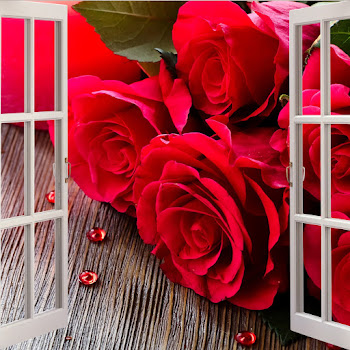 Pindu Un Trandafir Creste La Firida Mea Скачать mp3