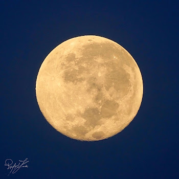 Rafael Krux Full Moon Improvisation Скачать mp3