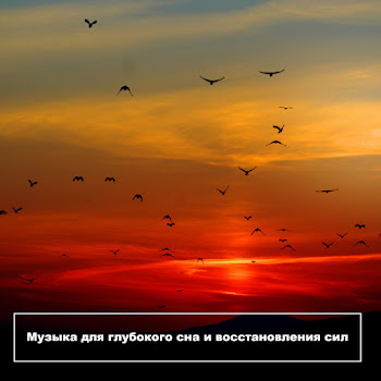 Расслабляющая Музыка Для Сна Музыка Для Глубокого Сна И Восстановления Сил Ft Музыка Для Работы И Фона & Звуки Природы & And Music Of Nature For You Скачать mp3