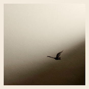 Rauf & Faik Так Много Слов Скачать mp3