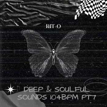 Rit-O Deep & Soulful Sounds 104Bpm Pt7 Скачать mp3